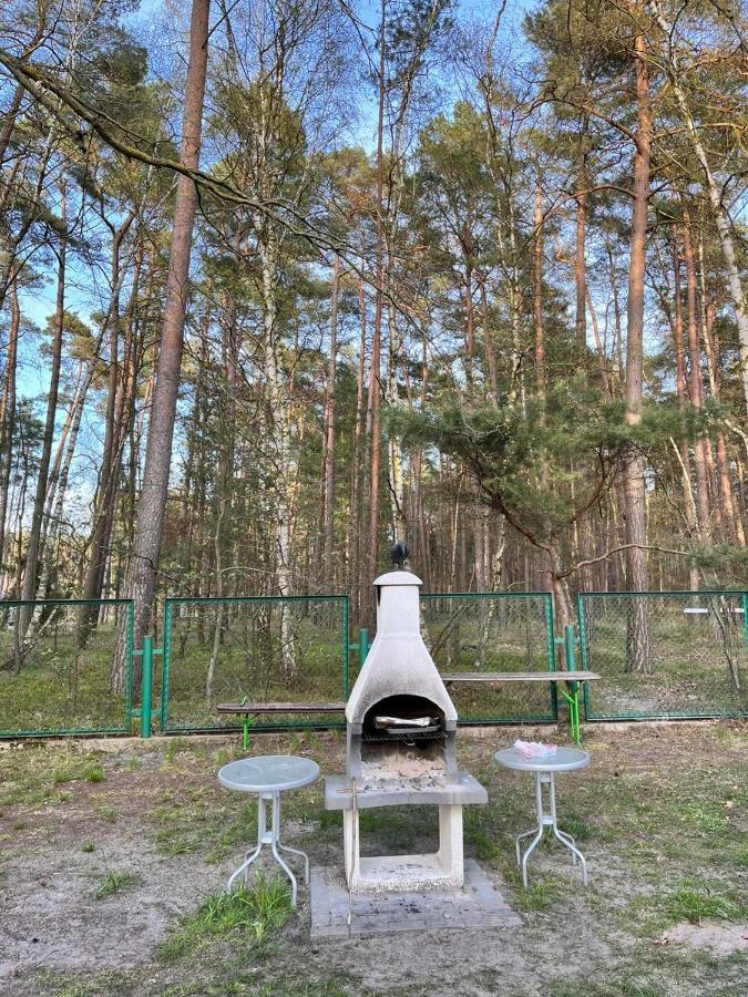 Blue Mare Pod Wiewiorka Lukecin
