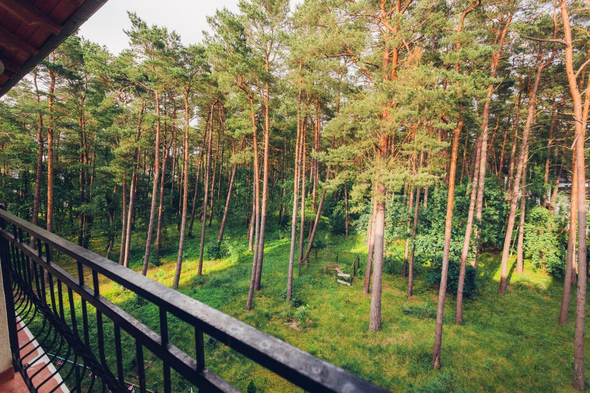 Apartment Blue Mare Pod Wiewiorka *
